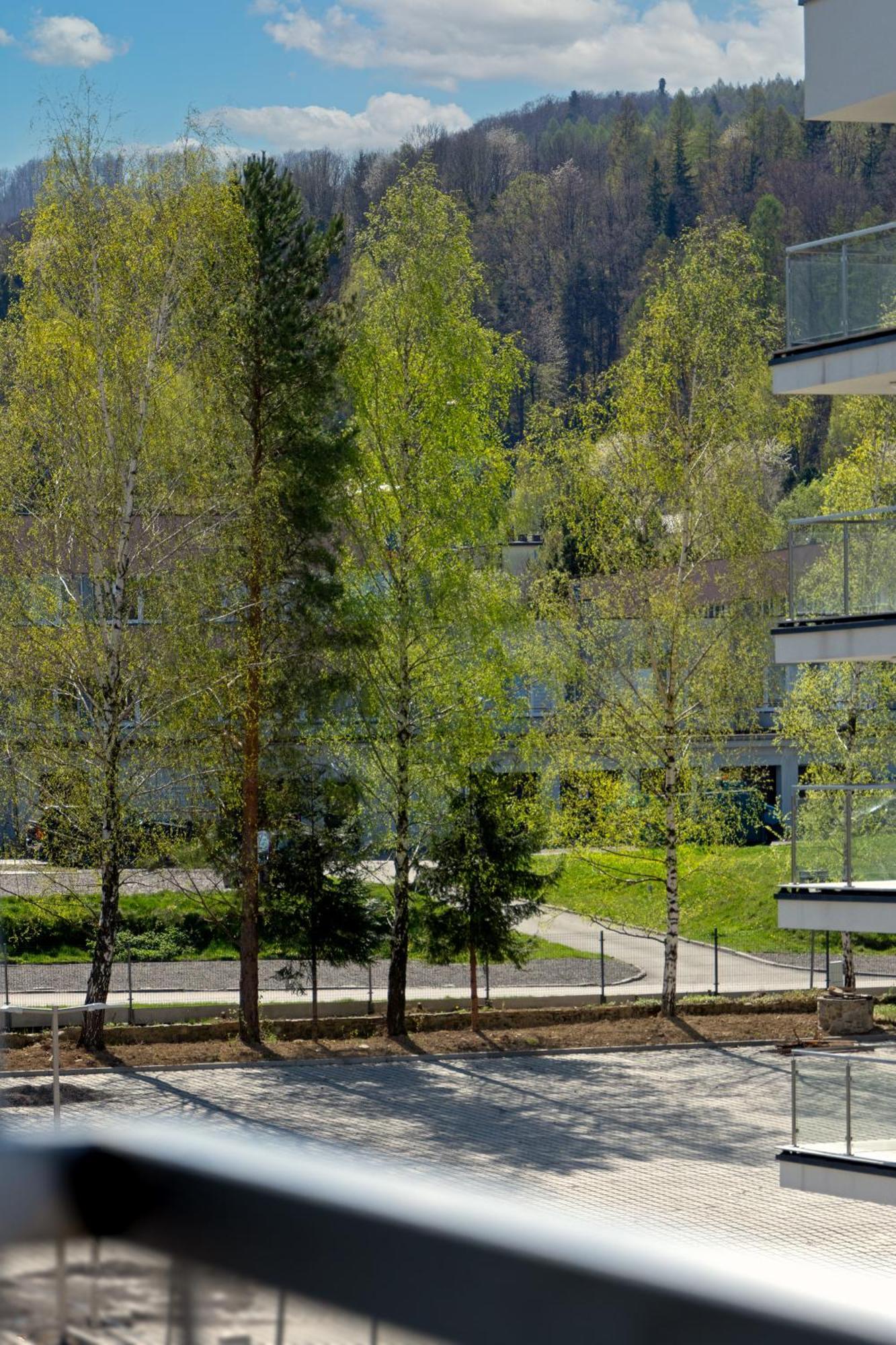 Szyndzielnia Hill Apartament # Nestapartamenty Bielsko-Biała Zewnętrze zdjęcie